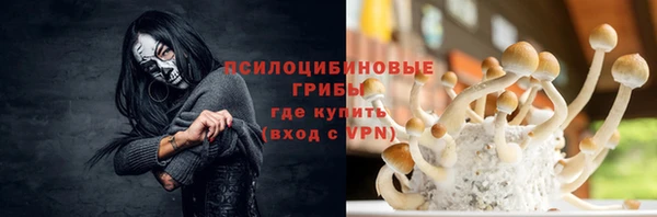 ALPHA PVP Артём