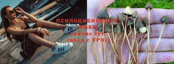ALPHA PVP Артём