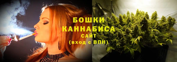 индика Ступино